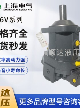 上海电气斜轴式柱塞泵A6VM28/55/80/107/160/200EP2D/63W变量马达