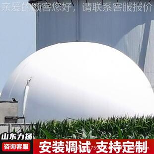 养殖场559污水厂沼气双膜储气柜双模 干式储气柜膜 功能沼双气气