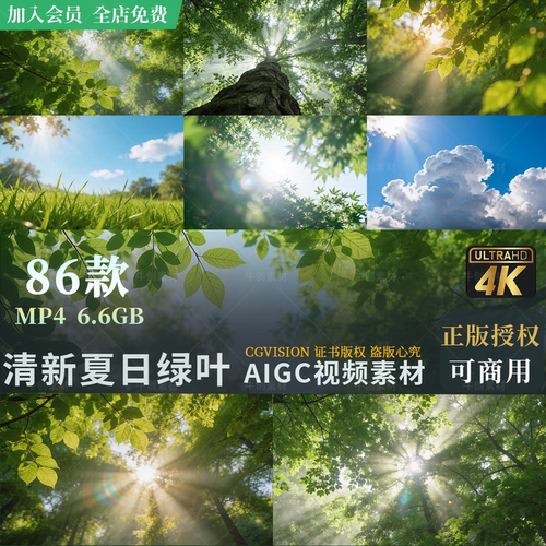 可商用清新夏天夏至蓝天白云仰拍树叶草地自然丁达尔光晕视频素材