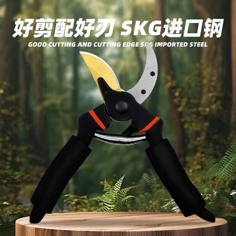 剪枝剪刀园林花艺修剪树枝剪刀果树剪刀粗大花剪园艺剪子工具