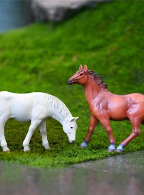 微景观仿真小白马摆件假山盆景沙盘道具造景装饰桌面树脂骏马摆设