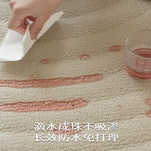 简约奶油风可擦免洗防水高级感卧室沙发地垫 地毯客厅2024新款