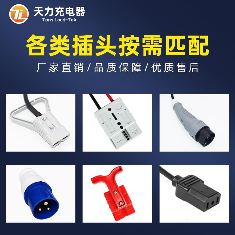 电动扫地车清6V8V扫车智器能充电机2AV15洗地机充电驾驶式手推