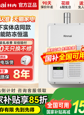 Rinnai/林内REU-A2024WF/A2426WF日本原装进口室内燃气热水器20升