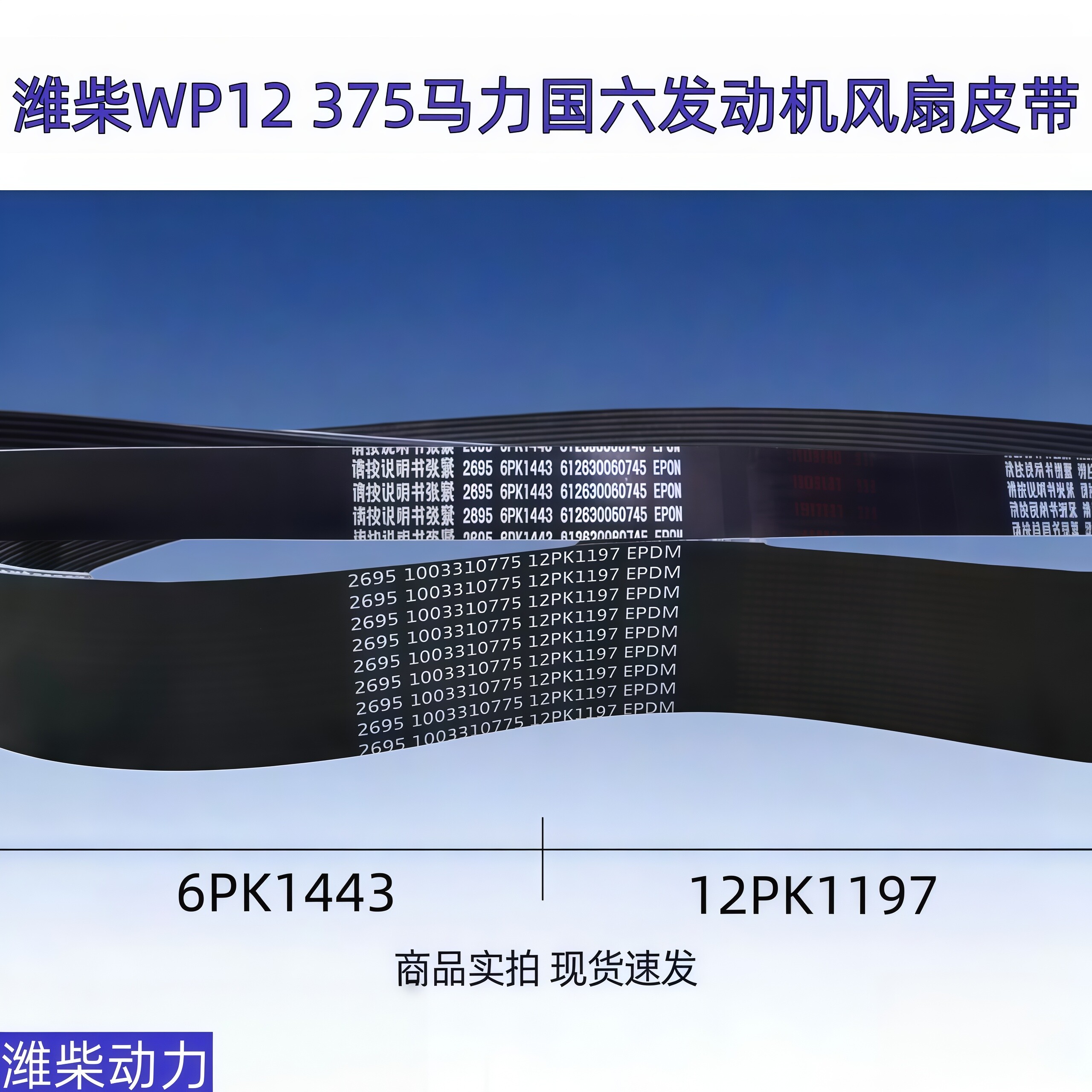潍柴WP12375国六电机风扇皮带图片