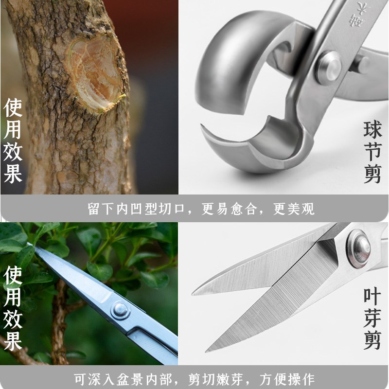 修枝剪球节剪盆景工具叶芽剪叉枝剪树瘤树节球形钳盆景造型工具剪