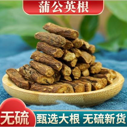 长白山野生蒲公英根官方旗舰店新鲜特级炒熟干货蒲公英根散结泡茶