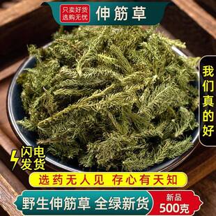 伸筋草中药材500克正品旗舰店野生小伸筋草中药透骨草白芥子泡脚
