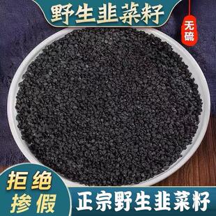 正品野生韭菜籽新货中药材500g正宗韭菜子粉韭菜籽泡水韭菜子食用