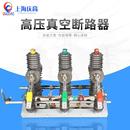 双电源双隔离户外高压真空断路器手动切换自动投切ZW32 12GG