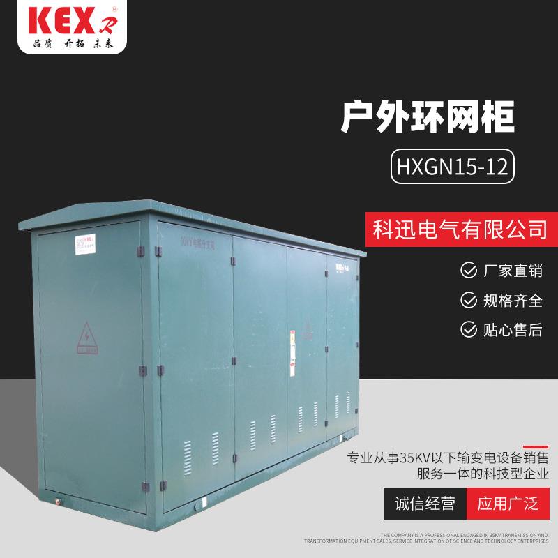 HXGN15-12户外环网柜高压环网柜户外固体绝缘充气柜成套设备