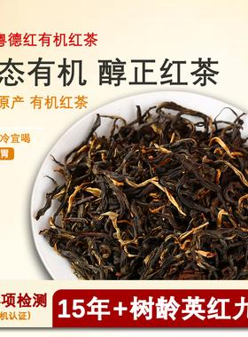 粤德红英红九号有机秋茶正宗英德红茶养胃茶叶浓香型罐装共150g