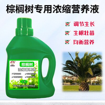 棕榈树苗专用浓缩营养液盆栽绿植物扇子树黄叶通用氮磷钾养花肥料
