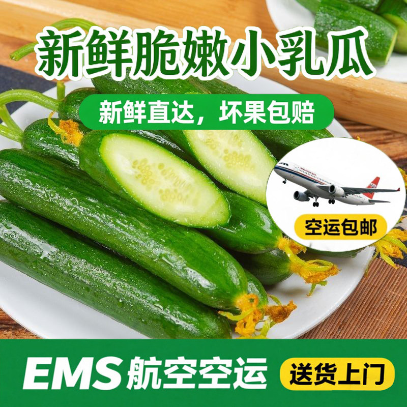 宁夏新鲜水果小黄瓜脆嫩乳瓜