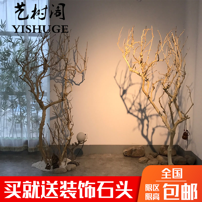 天然干树枝庭院造景树装饰插花瓶枯枝橱窗摆件枯W树布景许愿树