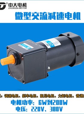 ZD中大W~W微型交流齿轮减速电机配调速刹车阻尼
