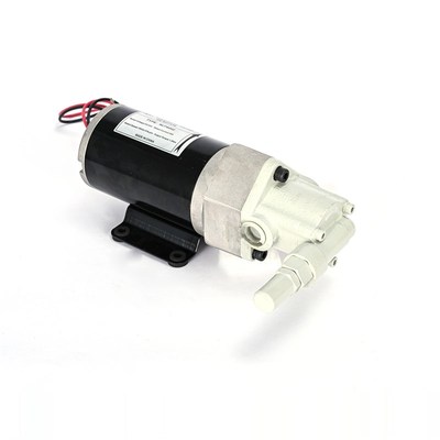 VNLP能力电动加油泵12V/24V/220V直流齿轮泵小型抽油泵三角泵电机