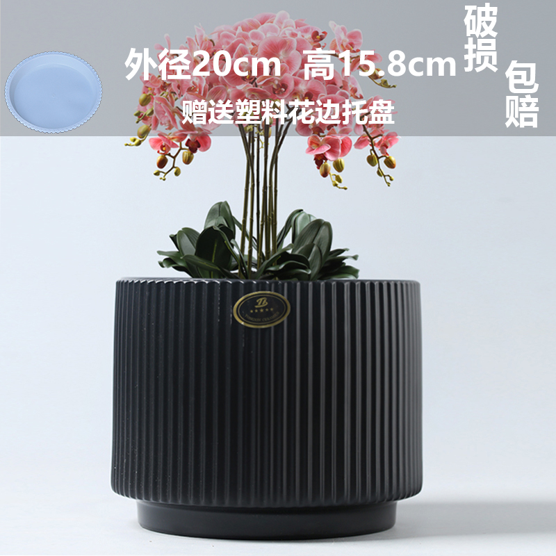 花盆陶瓷鲜花绿萝特大号花盆带托盘多肉花盆家用蝴蝶兰专用盆塑料