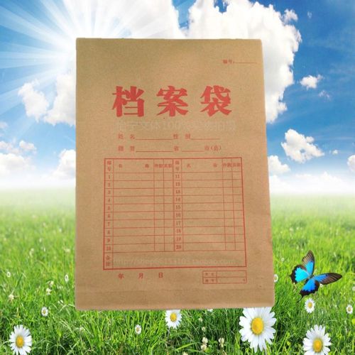 牛皮纸档案袋个 档案袋 资料标书袋 投标文件袋 办公用品