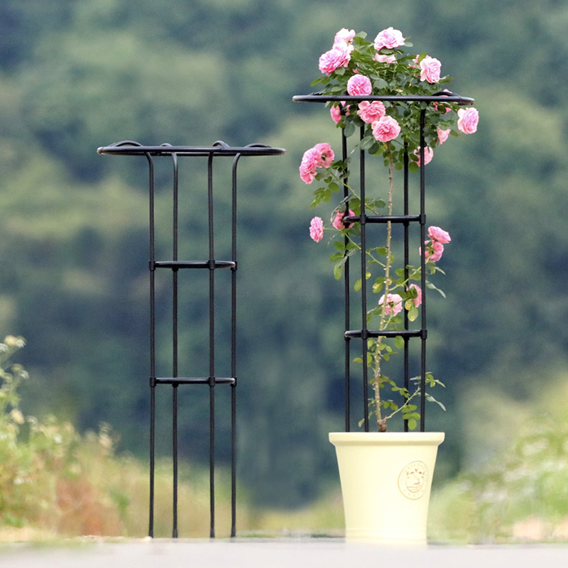 第三代伞型爬藤架植物攀爬架月季花架加粗加厚园艺花支架铁管包塑