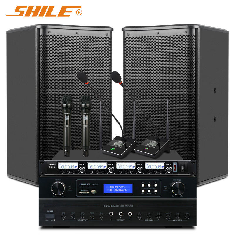 狮乐会议室10英寸音响话筒套装蓝牙功放专业音箱组合OK555C+BX110