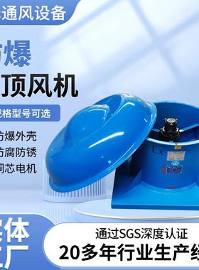 德州顺泽风机厂房屋顶风机屋顶通风器带防雨帽BDWT-I防爆屋顶风机
