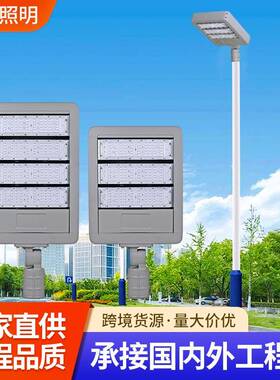 灯户外照明市电路灯模组市政道路工程灯6米8米10米12米led灯节能