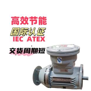 国际认证低温高温电机等级IIBIIC南阳微特卧龙新普防爆