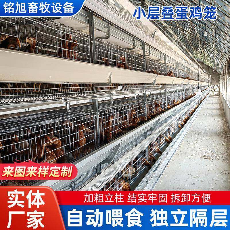 热镀锌小层叠蛋鸡自动化畜牧养殖设备经济型框架式叠式养鸡笼,畜牧/养殖物资,特种养殖设备,淘宝优惠券,粉丝福利购,淘宝优惠卷
