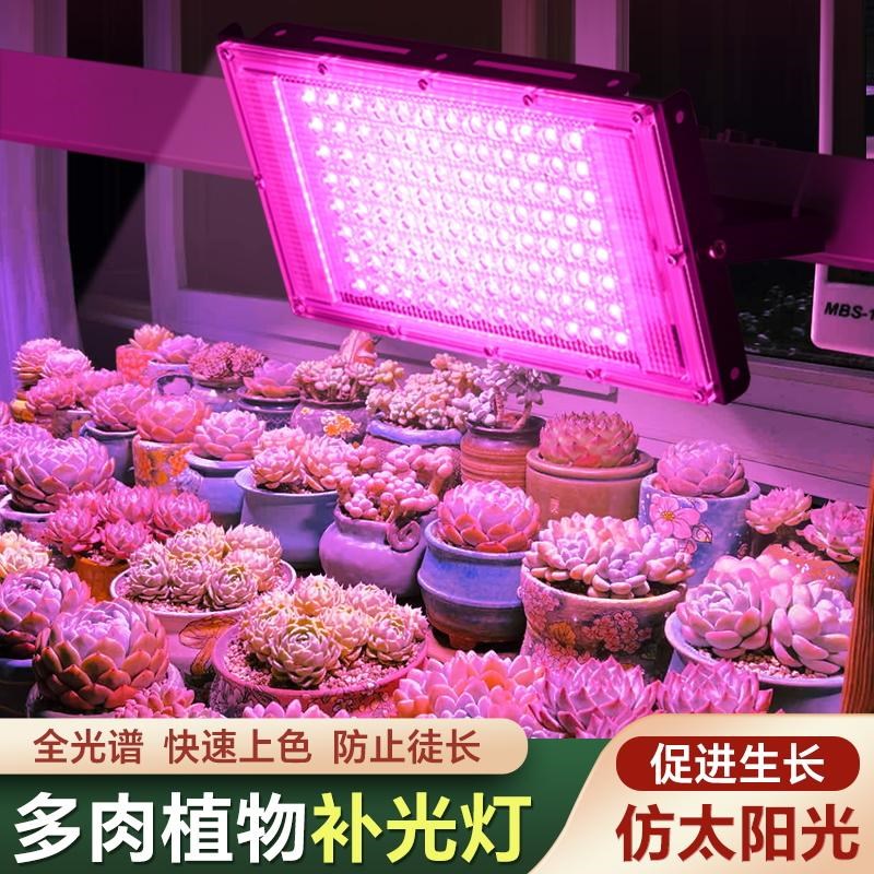 多肉植物补光灯仿太阳全光谱家用上色LED植物室内热植花卉生长灯