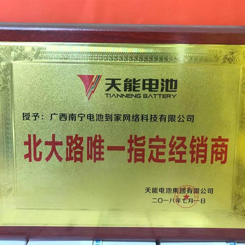 天能黑金60V22AH72V48V60V32A45A电动车电池电瓶三轮车铅酸