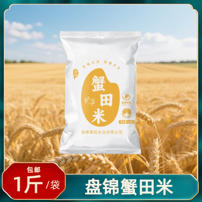 盘泽园盘锦蟹田大米1斤装当季新米500g东北大米珍珠圆粒独立包装