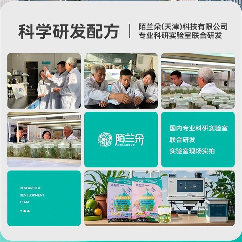 超浓缩植物营养液花肥通用化肥料家用绿植盆栽叶黄富贵竹通用型