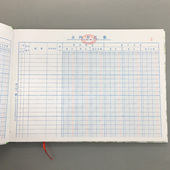 出纳日记账收入支出流水明细账公司收支记账销售记账明细账簿本