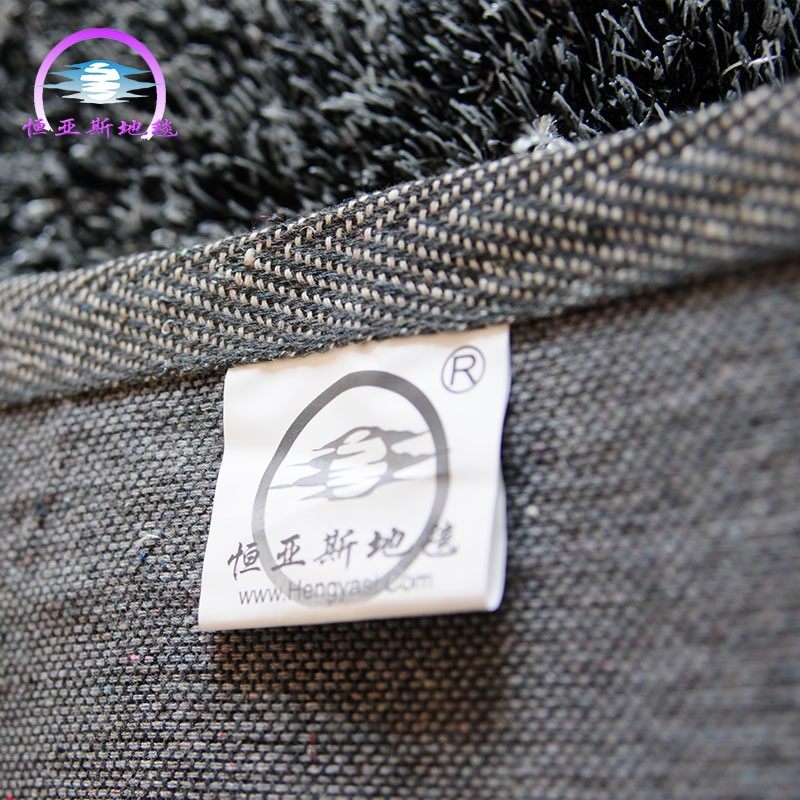 客厅地毯茶几毯卧室房间满铺韩国丝纯色床边欧式垫子定制地垫