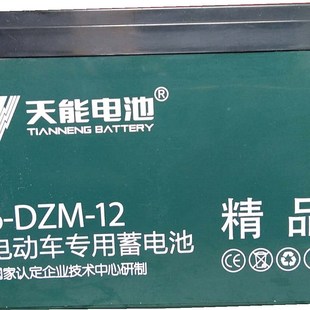 天能电池H22H铅酸蓄电池电动车电池DZM DZF