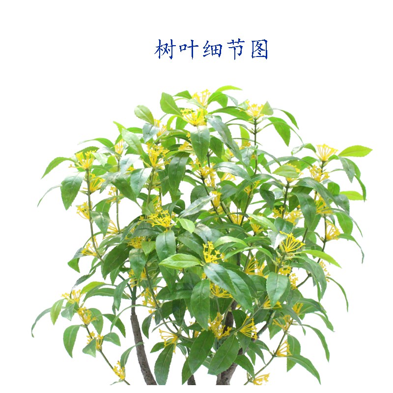 仿真植物盆栽桂花树绿植家居客厅摆设园林工程造景装饰品厂家直售