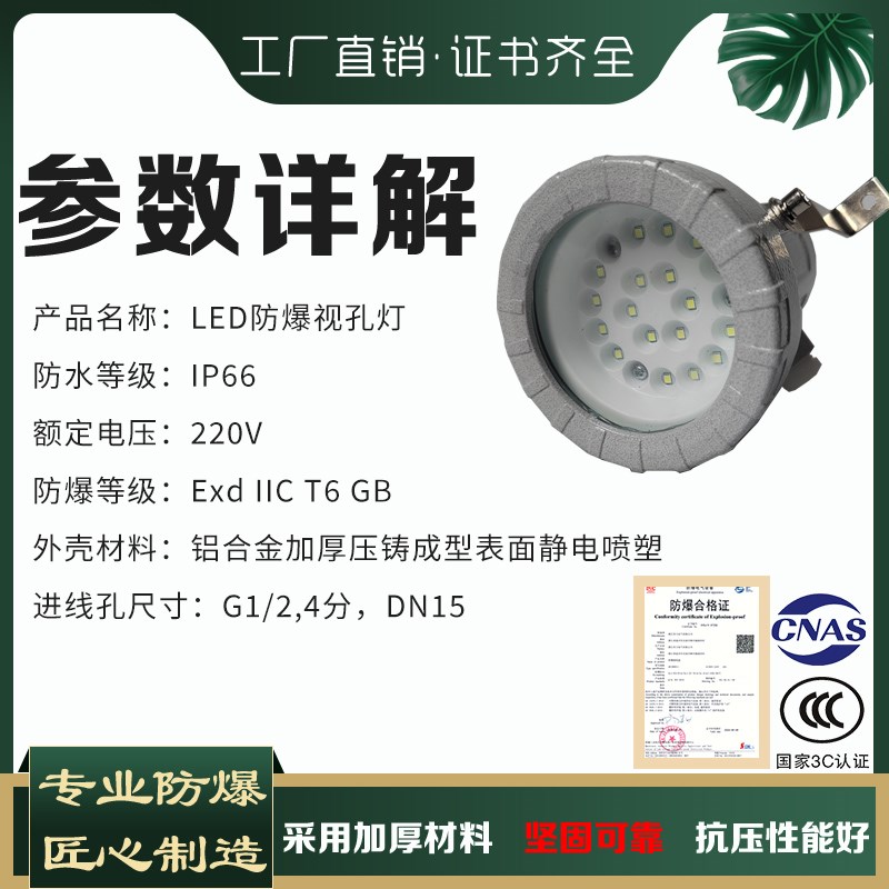防爆视孔灯BSD96化学容器LED视孔灯12V24V36V反应釜视镜灯