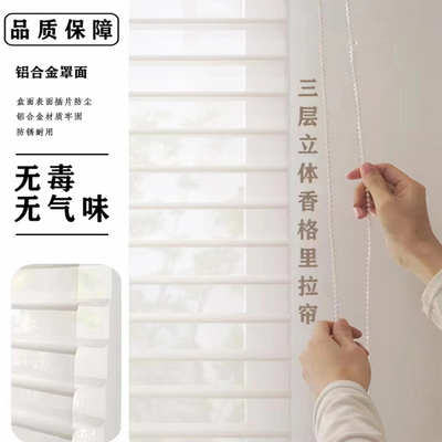 电动香格里拉窗帘柔纱帘卷帘百叶窗帘办公室卫生间阳台遮光卷拉式