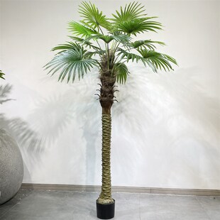 仿真蒲葵扇叶葵棕榈叶落地假绿室内阳台橱庭院造景装饰摆设