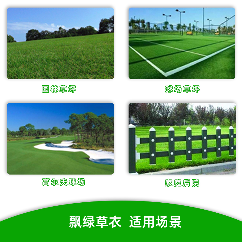 草坪增绿剂草皮染色剂植物喷绿剂养护剂枯草变绿草坪剂园林绿化草