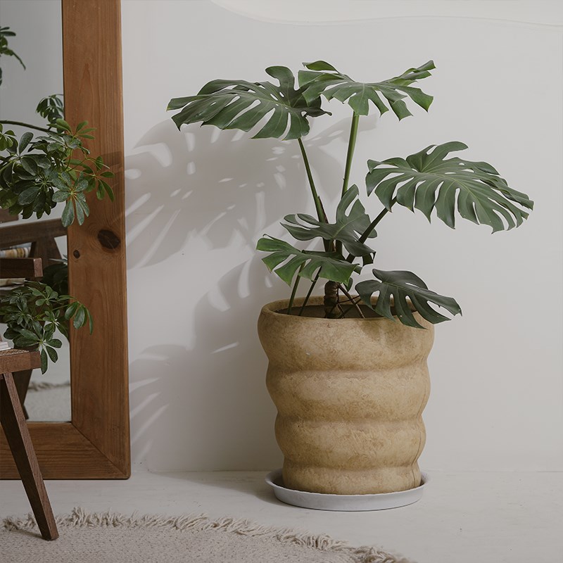 落地龟背竹大花盆镁泥大码大型绿植复古侘寂风客厅阳台装饰摆件