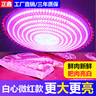 微红高亮led生鲜灯猪肉摊加大冷鲜肉专用水果熟食海鲜市场吊灯