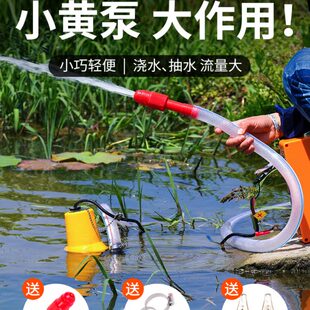 水泵电动抽水机家用潜水泵12v浇菜小型浇水机直流电抽水机