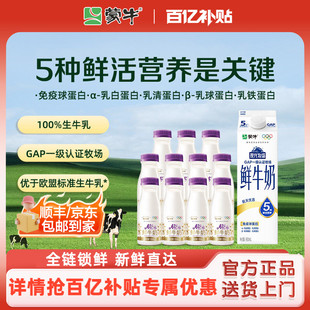 现代牧场鲜奶960ml 蒙牛鲜奶A2β酪蛋白鲜牛奶185ml 百补