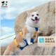 狗狗牵引绳胸背带背心式 遛狗绳子小中大型犬金毛柯基外出专用狗链