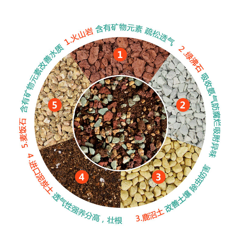 德沃多大包营养土泥炭种植土盆栽植物多肉专用颗粒铺面拌土虹彩石,鲜花速递/花卉仿真/绿植园艺,介质/营养土,淘宝优惠券,粉丝福利购,淘宝优惠卷