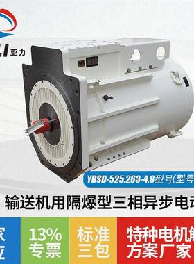 厂家直供输送机用电机YBSD-525.263-4.8隔爆型三相异步电动机