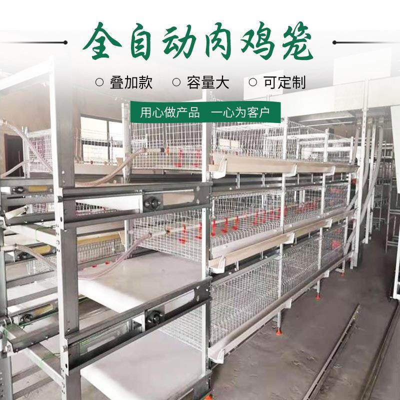 鸡笼鸡笼自动化元宝型肉框架式养鸡设备旧鸡舍改建肉鸡畜牧,畜牧/养殖物资,畜牧/养殖器械,淘宝优惠券,粉丝福利购,淘宝优惠卷