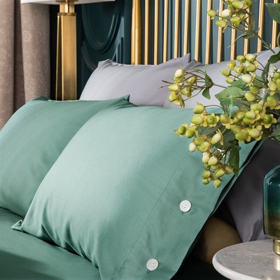 60支纯棉枕套一对装全棉单人枕芯套48x74cm成人枕头罩50x80大号90